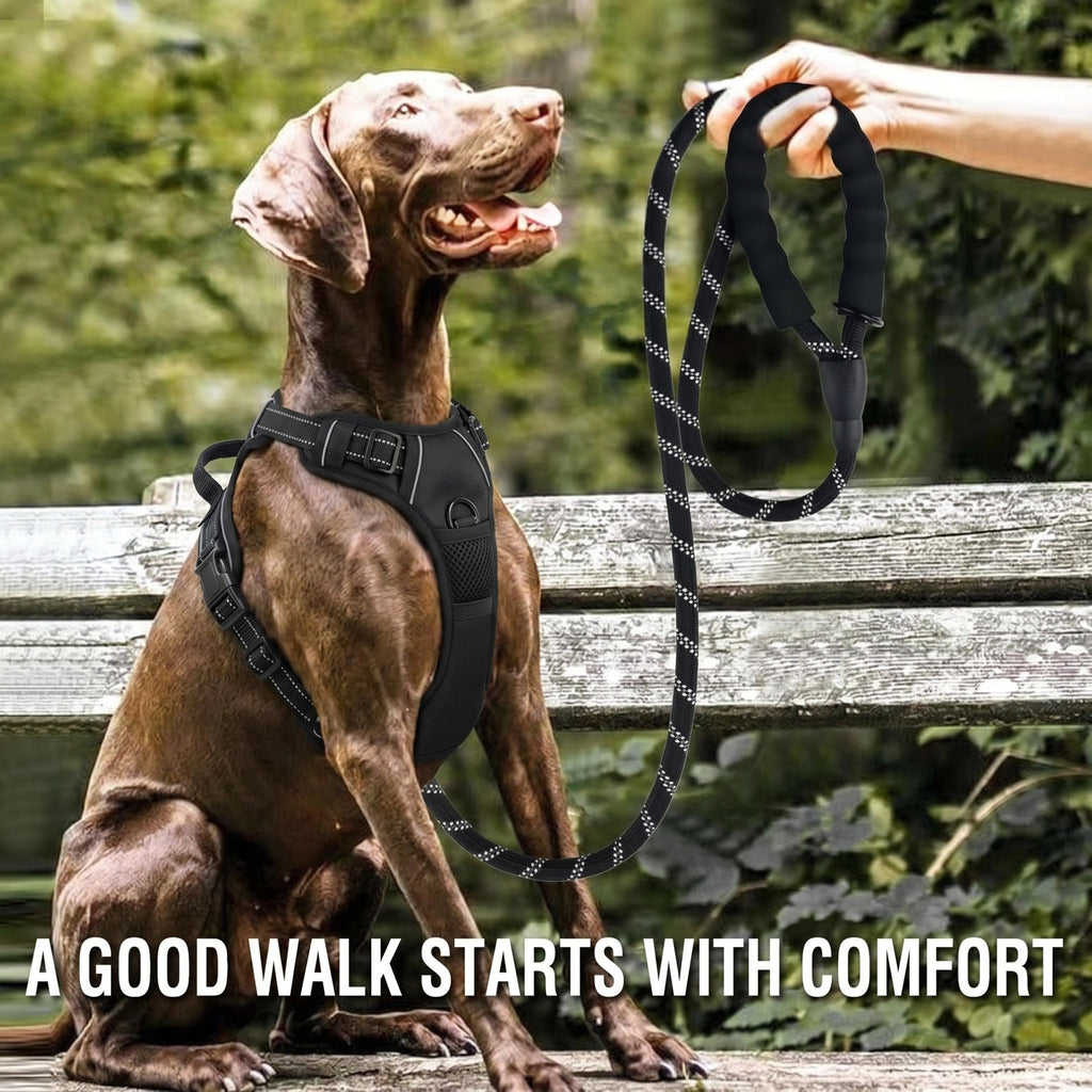Anti-Escape Dog Safety Leash — Secure Outdoor Rope for Large & Medium Dogs