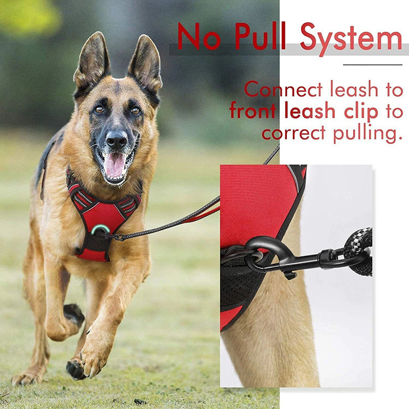 Anti-Escape Dog Safety Leash — Secure Outdoor Rope for Large & Medium Dogs