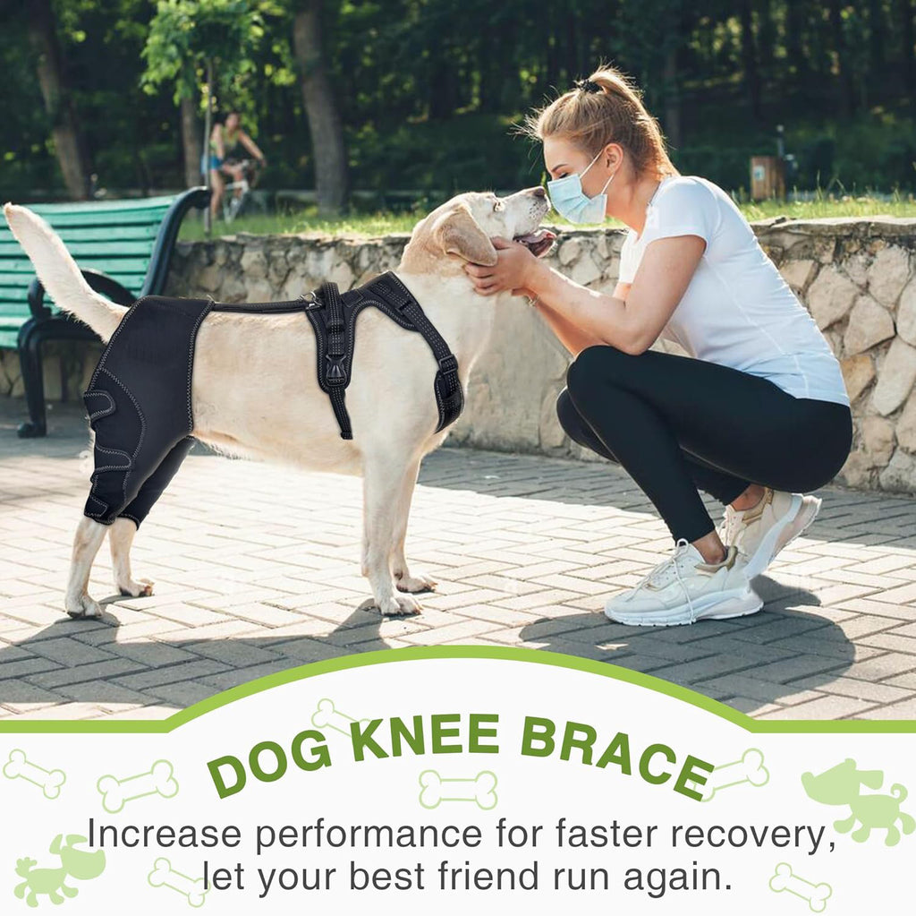 Post-operative knee support for dogs