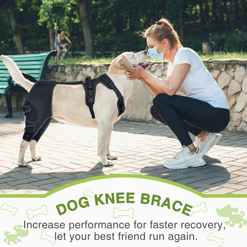 Post-operative knee support for dogs