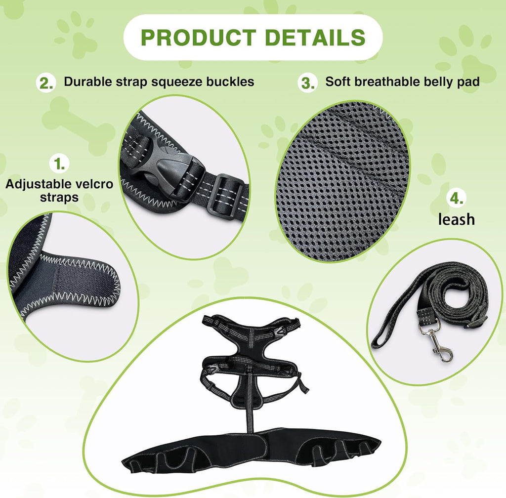 Post-operative knee support for dogs