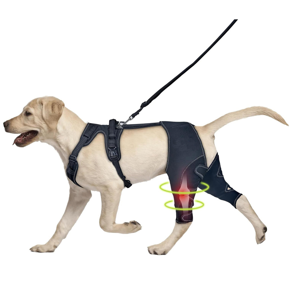 Post-operative knee support for dogs
