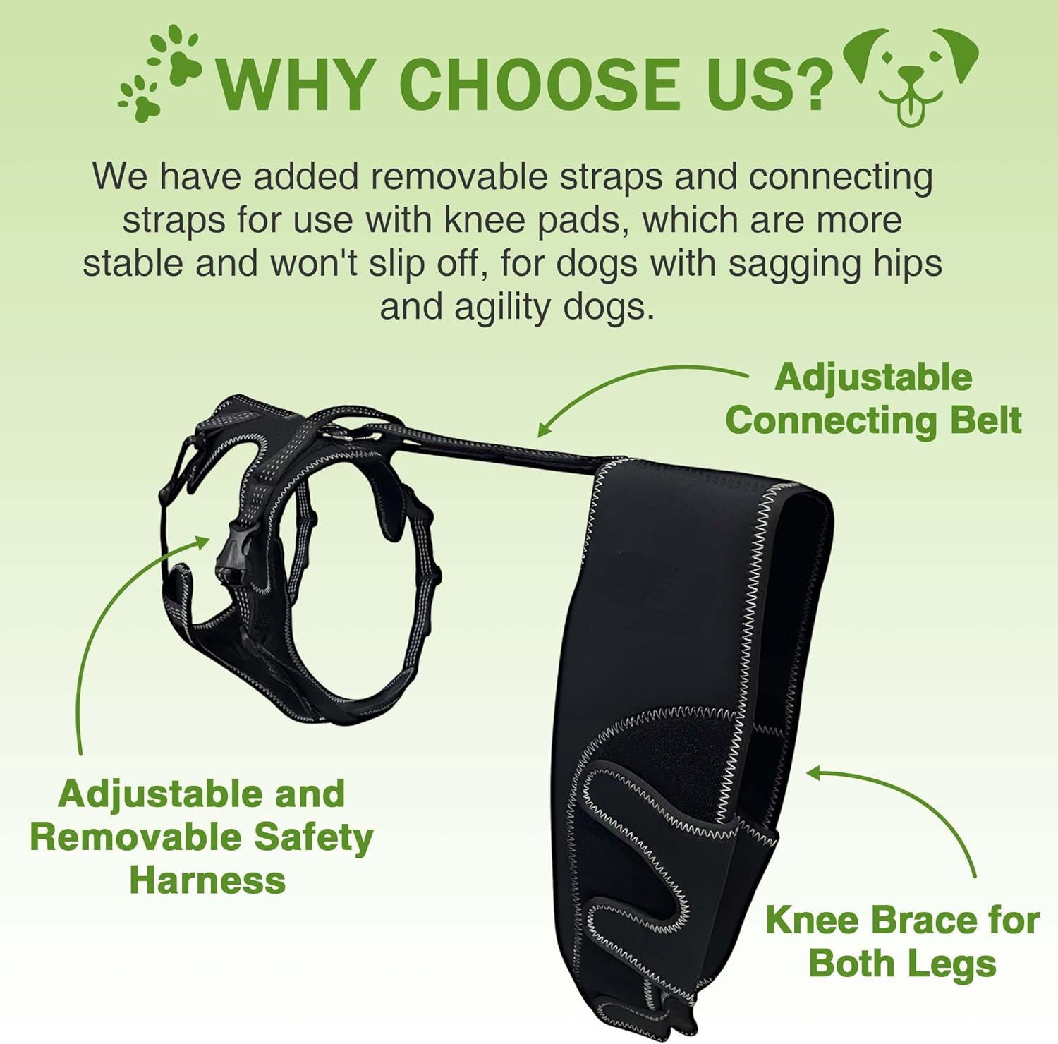 Post-operative knee support for dogs