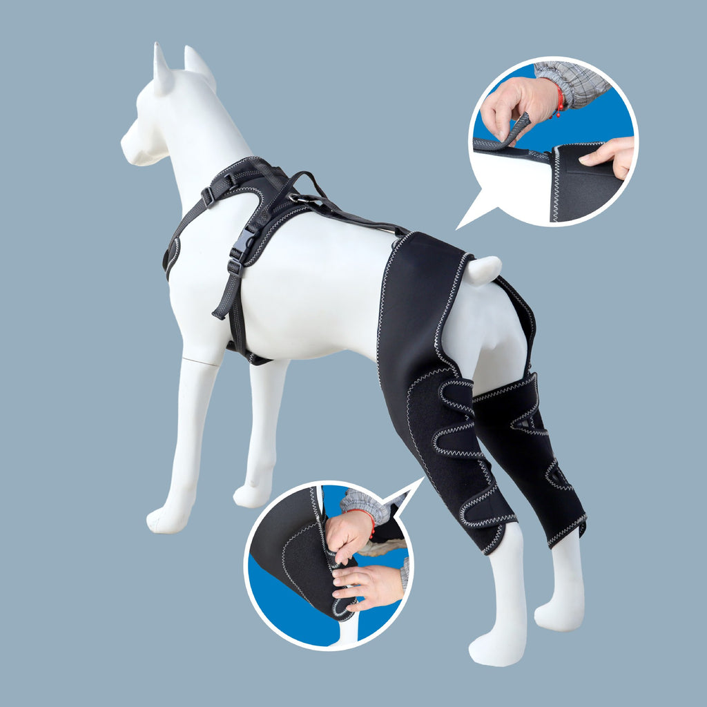 Post-operative knee support for dogs