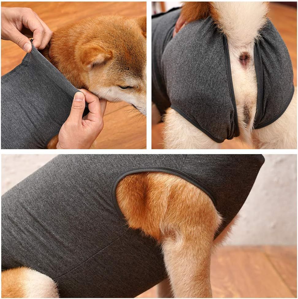 Dog post-operative wound protection clothing