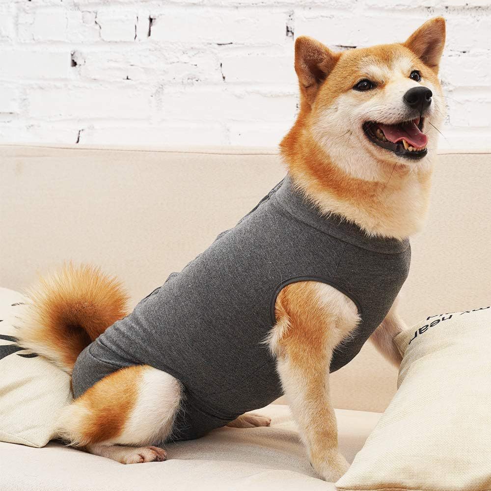 Dog post-operative wound protection clothing