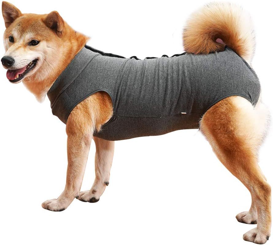 Dog post-operative wound protection clothing