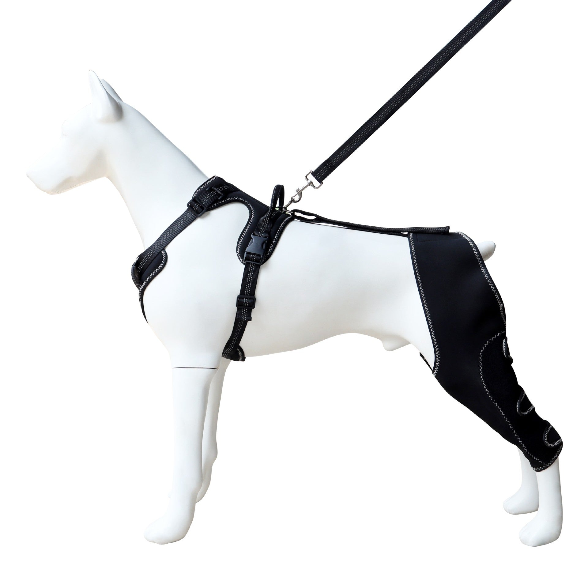 Dog ACL Knee Brace - Anti-Slip Support for Hip Dysplasia & Post-Op Recovery